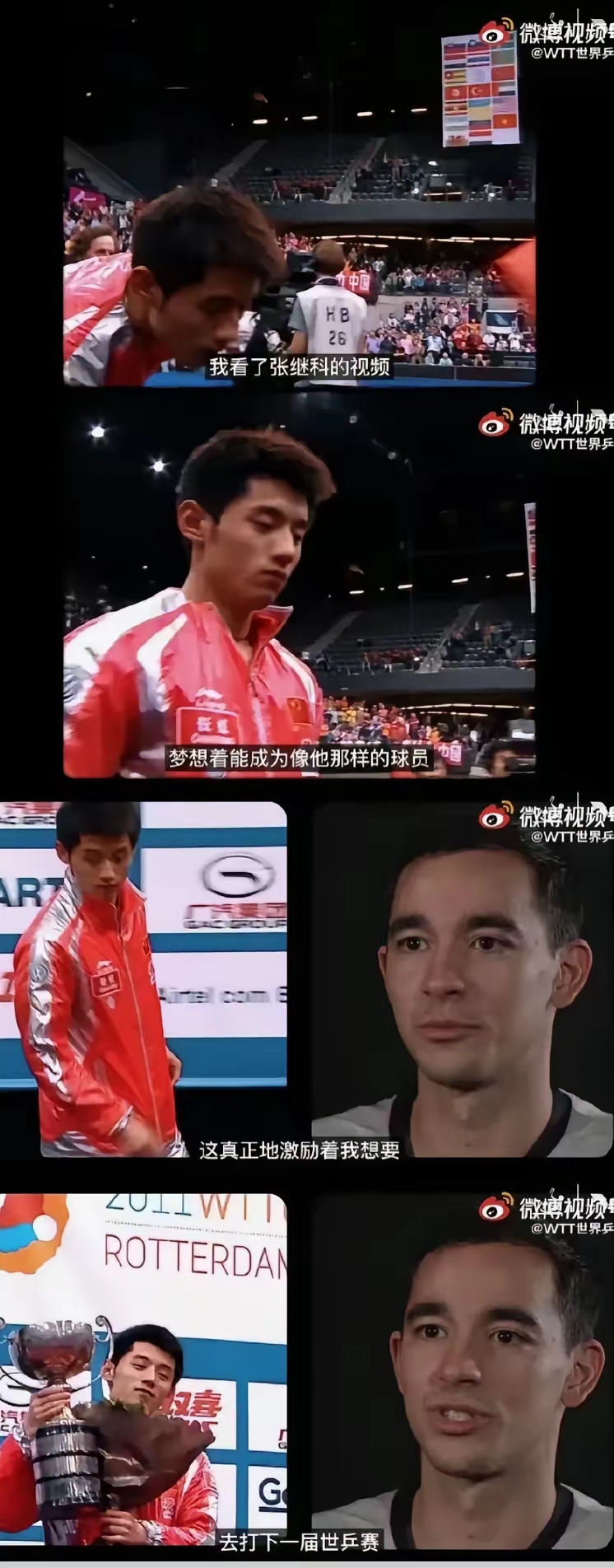 奥地利乒乓球队横扫法国乒乓球队,张继科关键制胜的简单介绍 奥地利乒乓球队横扫法国乒乓球队,张继科关键制胜的简单介绍