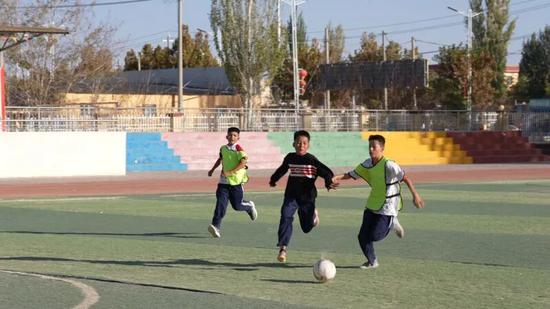 绿茵场上球员的拼搏精神打动了所有人的简单介绍