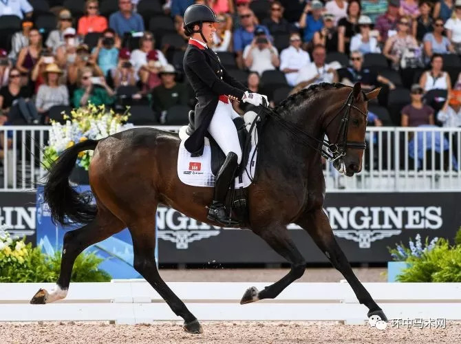 lpl官网-关于德国射击运动员稳定发挥，斩获金牌的信息