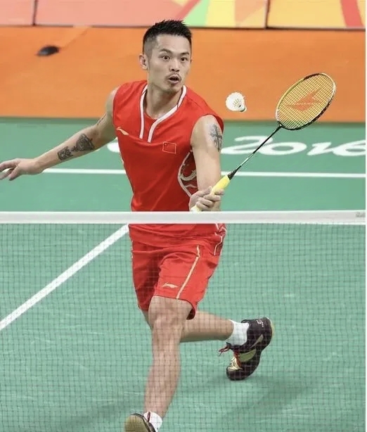 中国羽毛球队完胜丹麦羽毛球队，林丹惊艳世界的简单介绍