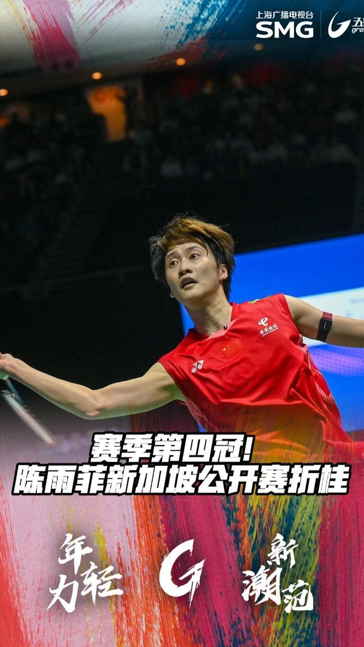 日本队力克中国队，陈雨菲状态火热的简单介绍