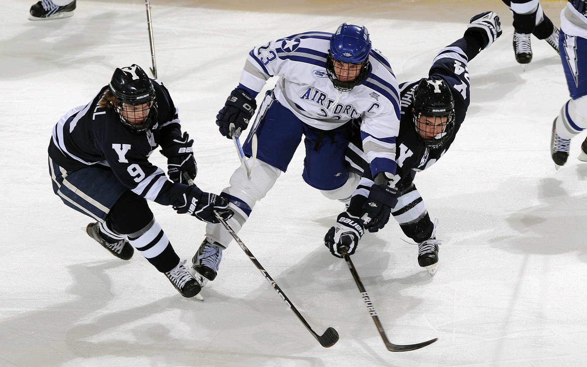 冰封北境，烈焰焚城，克莱·汤普森状态火热，猛龙火力全开压制国王